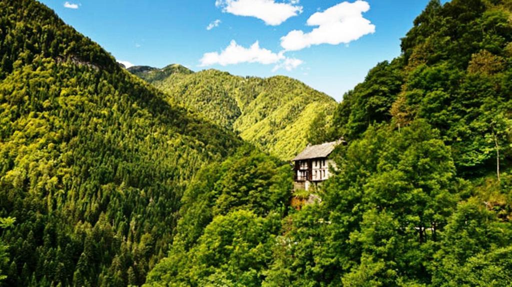 Rovere Losone Exterior foto